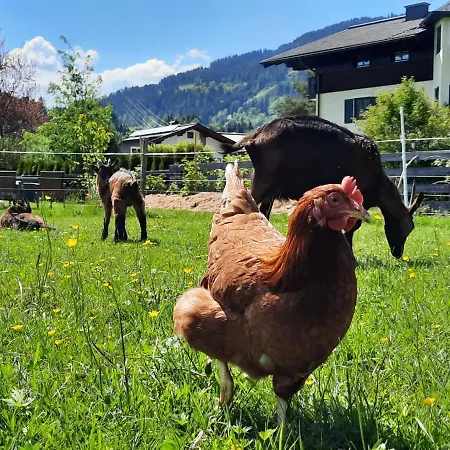 アパート Wawies *